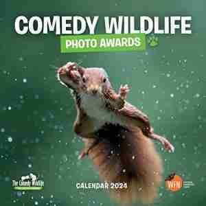 2024 Comedy Wildlife Photography Awards Wall Calendar